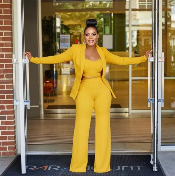 Elegant Office Lady 3 Piece Set Women